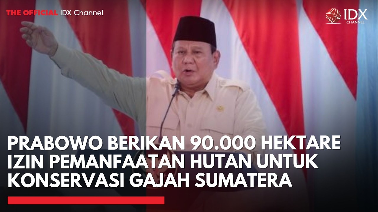 Prabowo Berikan 90.000 Hektare Izin Pemanfaatan Hutan untuk Konservasi Gajah Sumatera | IDXC UPDATE