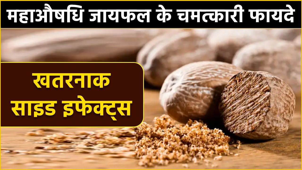 Nutmeg (Jaiphal) Benefits & Side Effects: महाऔषधि जायफल के चमत्कारी फायदे, खतरनाक साइड इफेक्ट्स