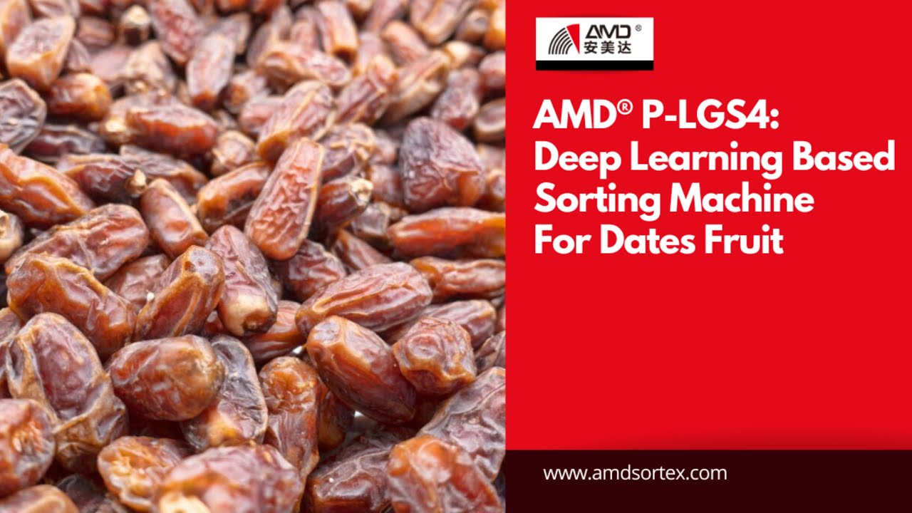 AMD® LG Series: #Datesfruit Sorting with AI-based Sorting Machine