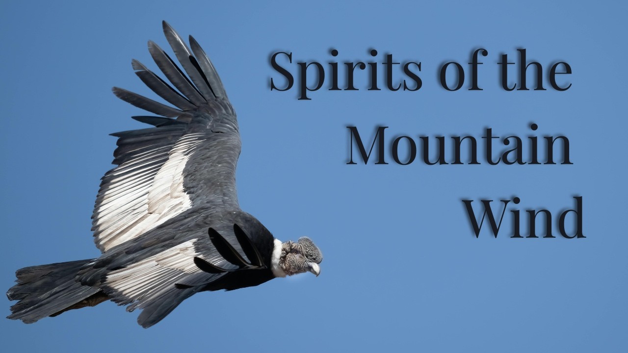 Spirits of the Mountain Wind- Altiplano Aura