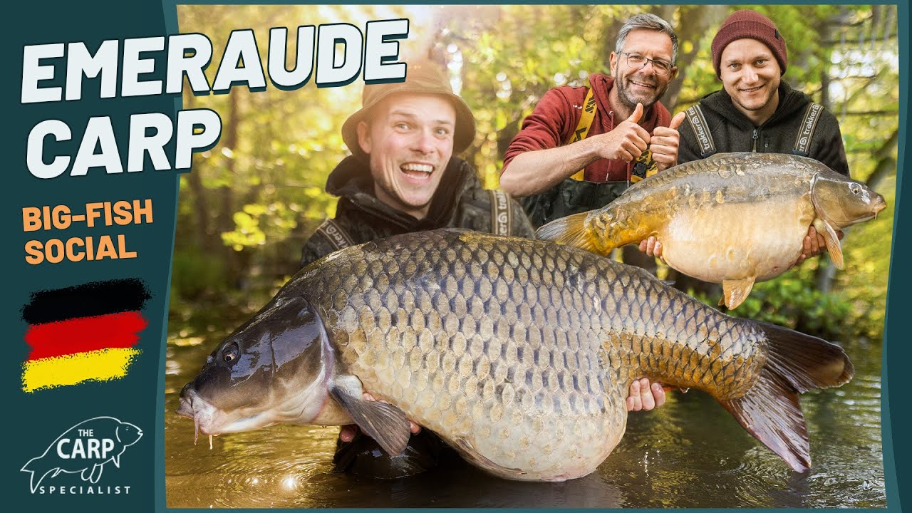 Karpfenangeln am Emeraude Carp 🇫🇷 32kg+ Seerekord 🐋 Social am neuen BigFish-See 🎣
