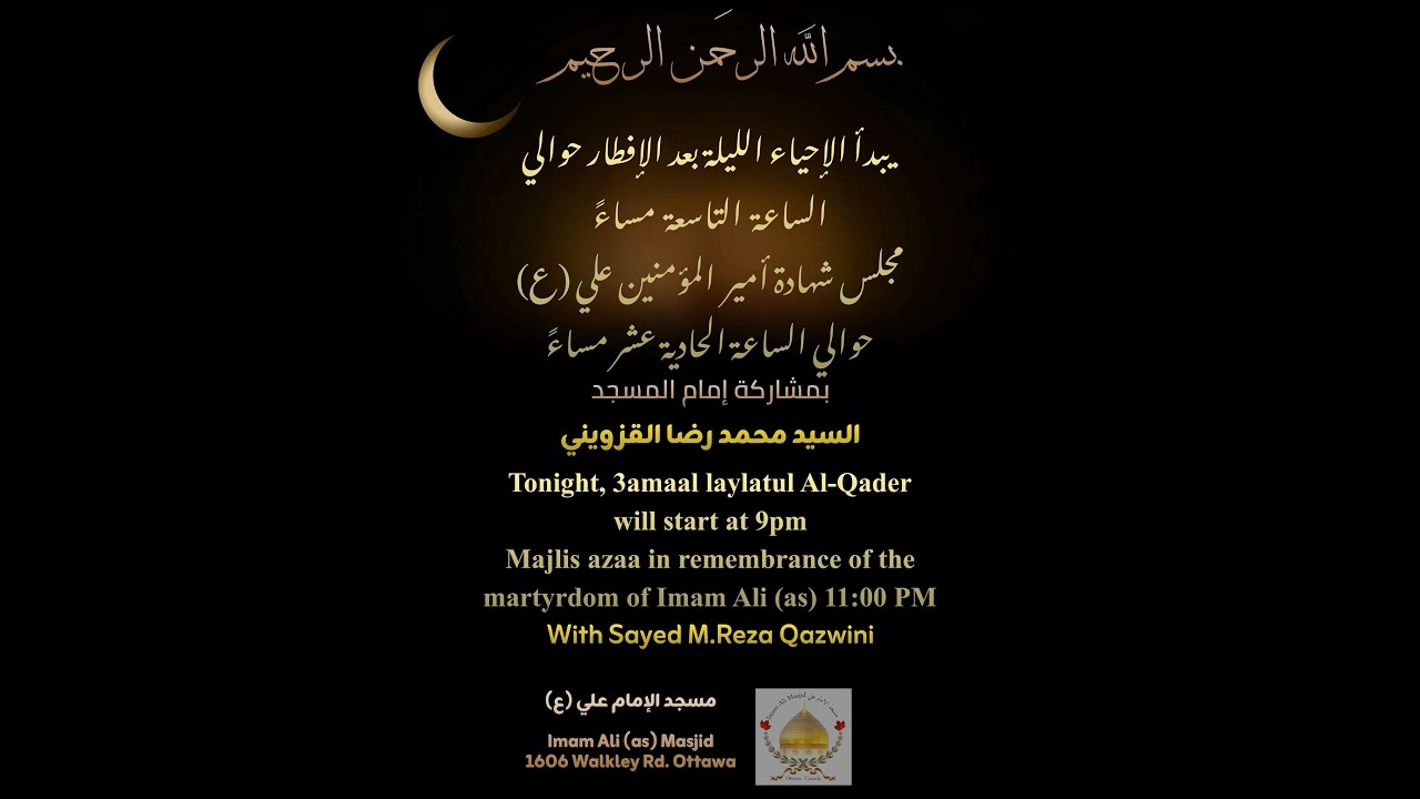 مجلس عزائي بمناسبة شهادة أمير المؤمنين الإمام علي (ع) |  سماحة السيد محمد رضا القزويني