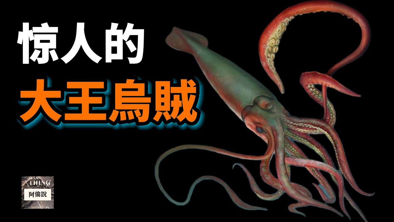 大王烏賊：它是海妖克拉肯的原型，深海最強大的魷魚，它有十幾米長，眼睛像臉盆一樣大，它的手臂上充滿秘密武器，發起狠來連同類也暴打！