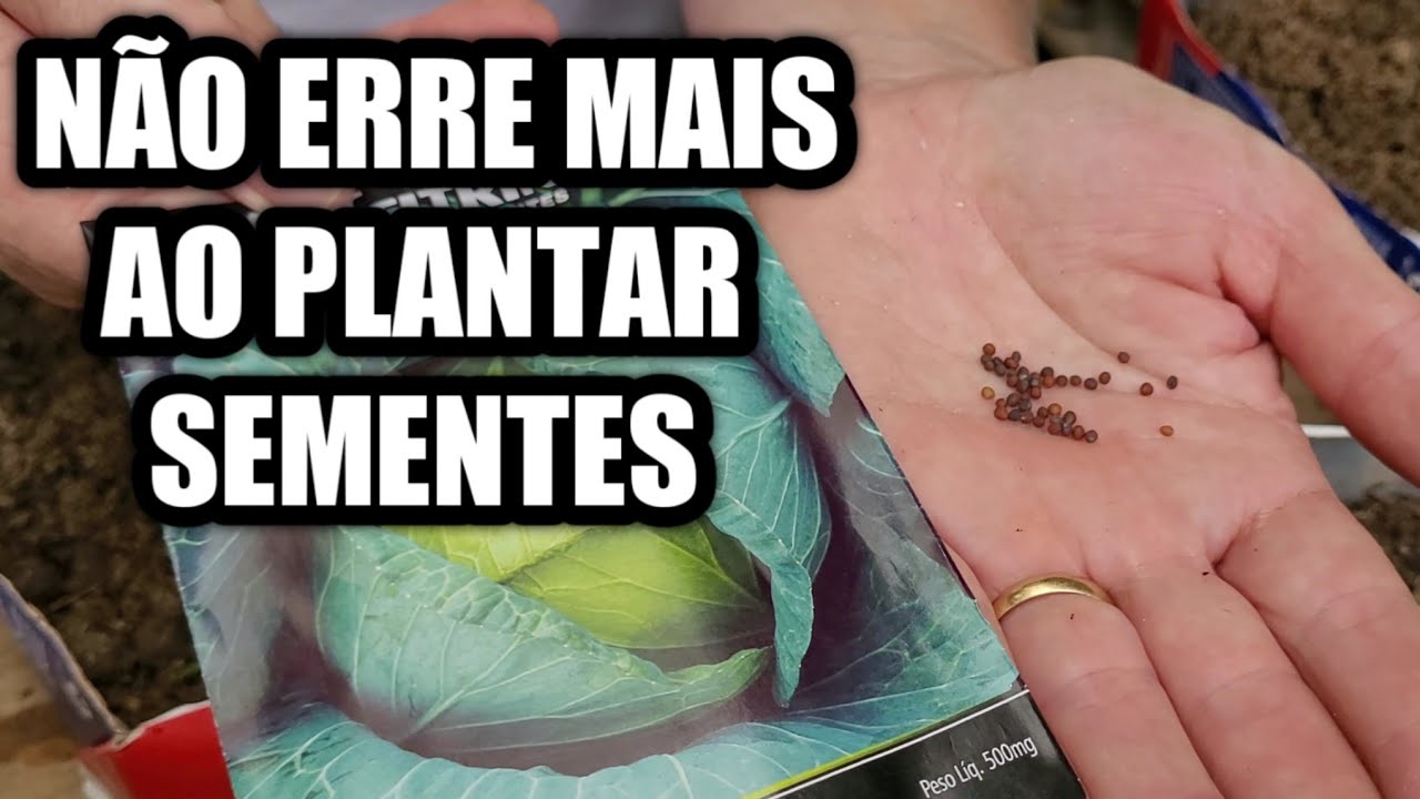 COMO PLANTAR SEMENTES DE ENVELOPE [ALFACE E REPOLHO]
