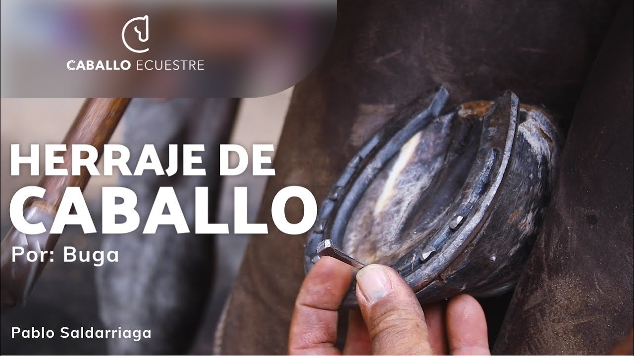 HERRAJE DE CABALLO 🐴 ⚡ por BUGA en la pesebrera la Herrería