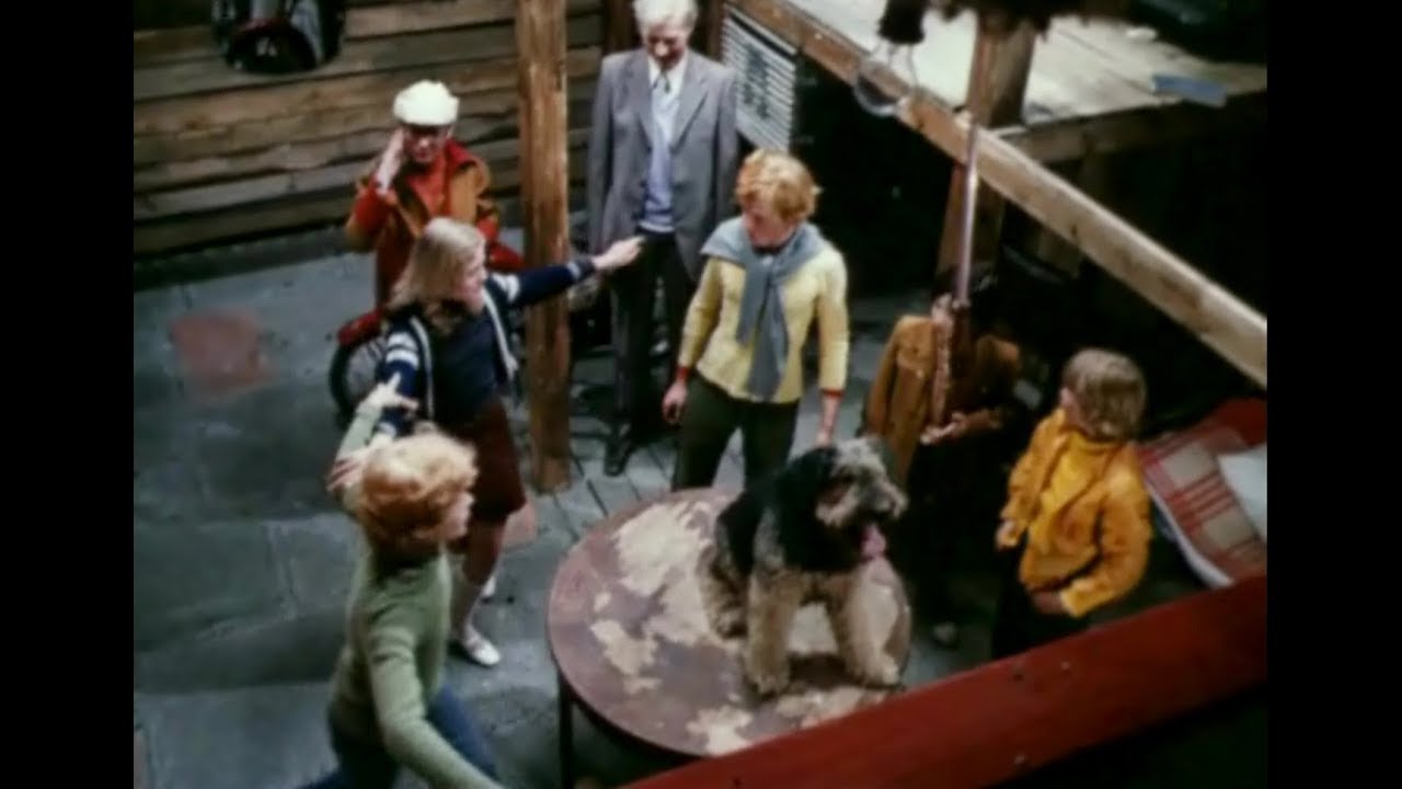Песня про собаку «Это знает всякий» (1979) исполняет Елена Шуенкова