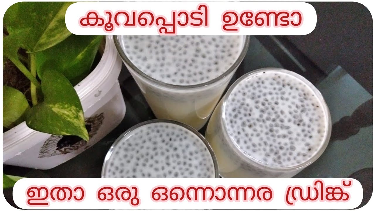 കൂവപ്പൊടി കൊണ്ട് ഇത്രയും നല്ലൊരു ഡ്രിങ്ക് കുടിക്കാതെ പോയല്ലോ / Arrowroot powder drink