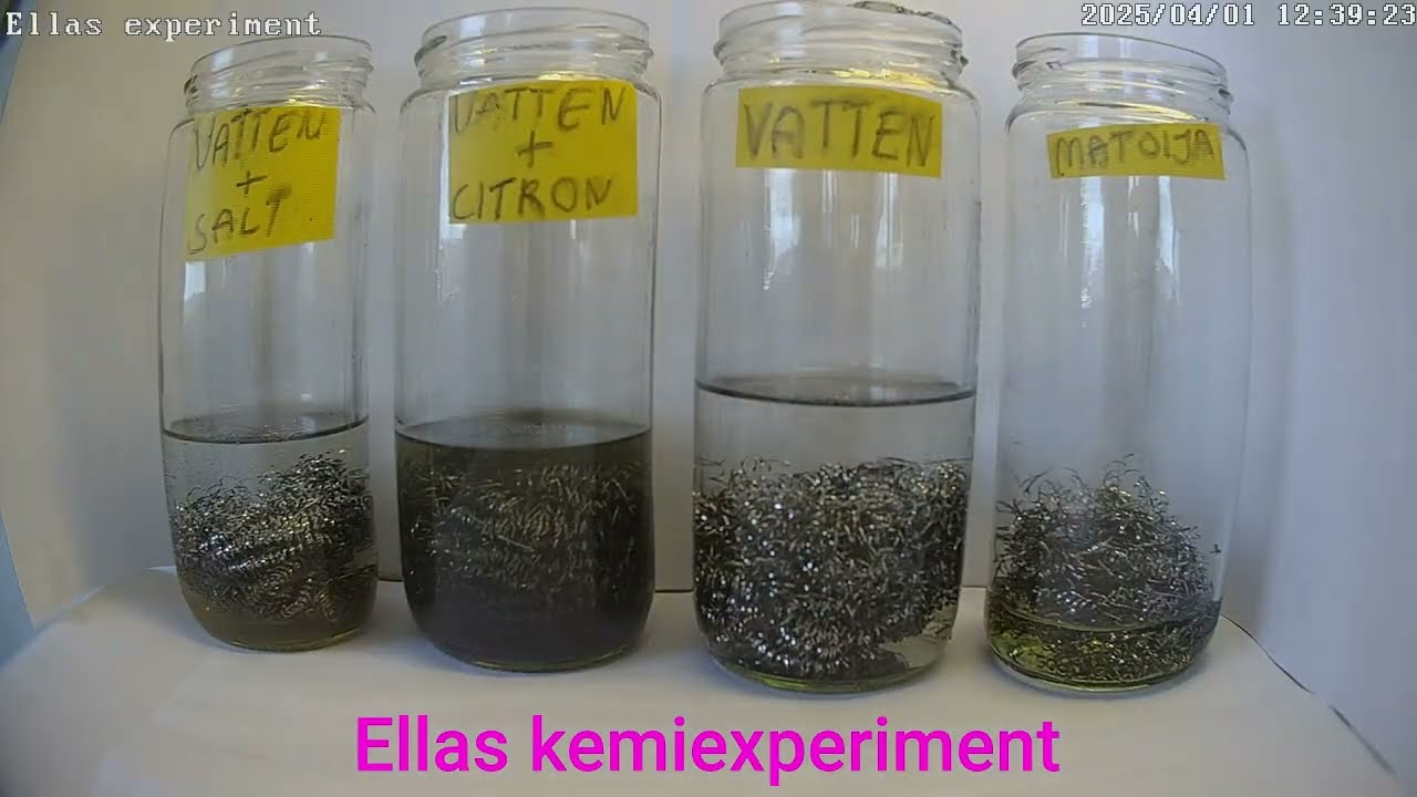 Ellas kemiexperiment