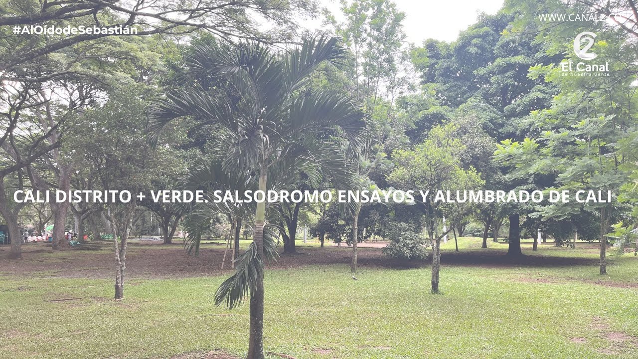 Cali Distrito + Verde/  Salsodromo ensayos y Alumbrado de Cali - Al Oído de Sebastián