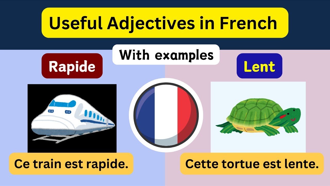 Master French Adjectives: Learn Opposites with Real-Life Examples! 🇫🇷✨