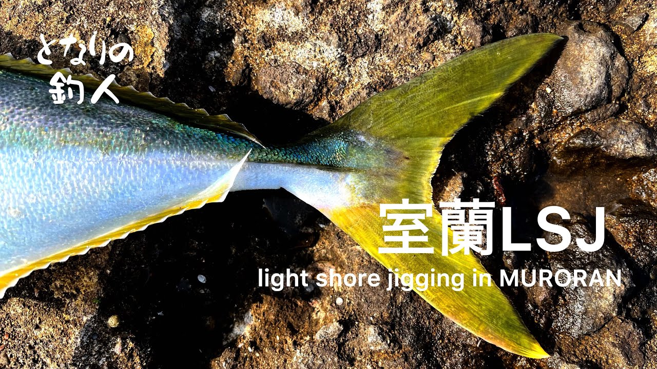 室蘭ライトショアジギング light shore jigging in HOKKAIDO MURORAN