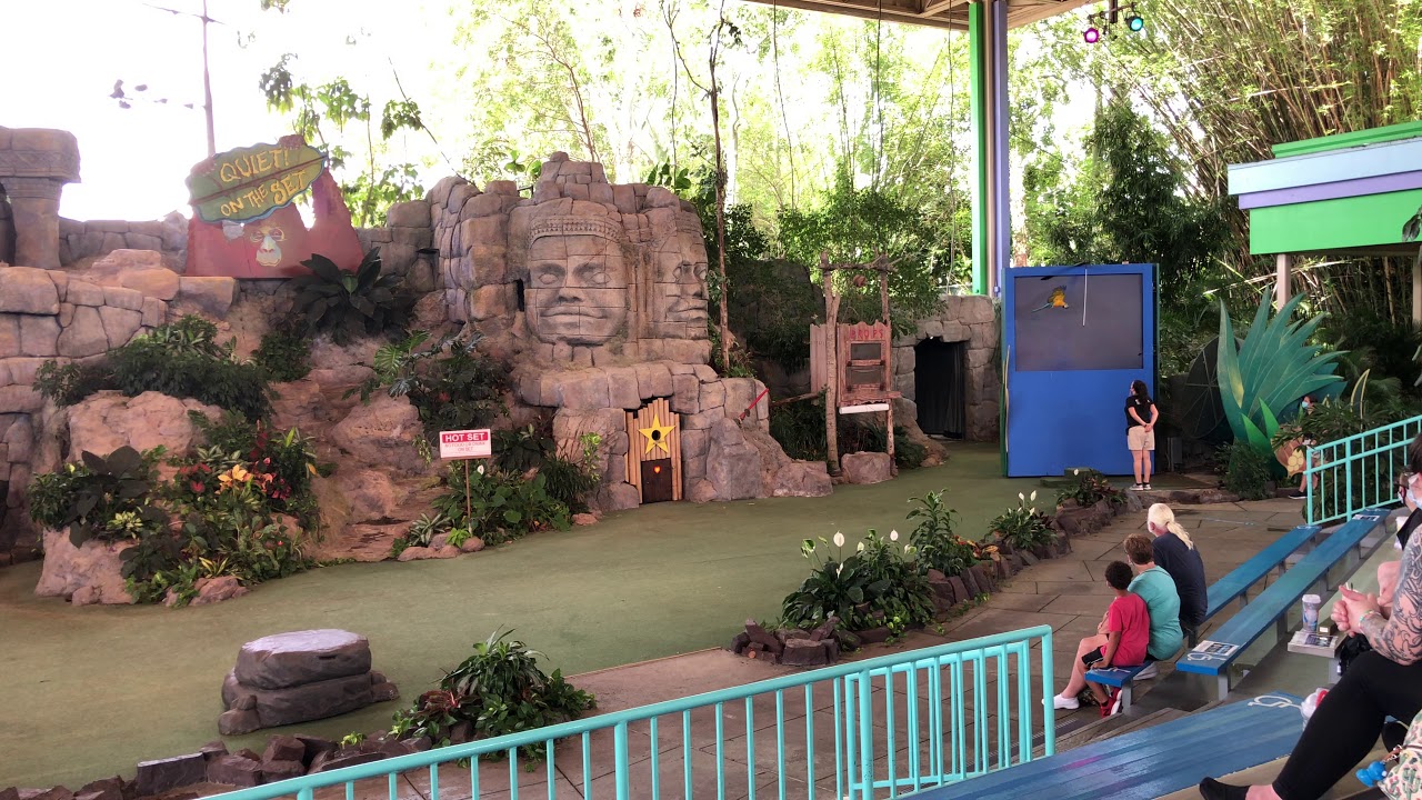 Animal Actors Live on Stage Full Show June 5th 2:30pm Show at Universal Studios Orlando