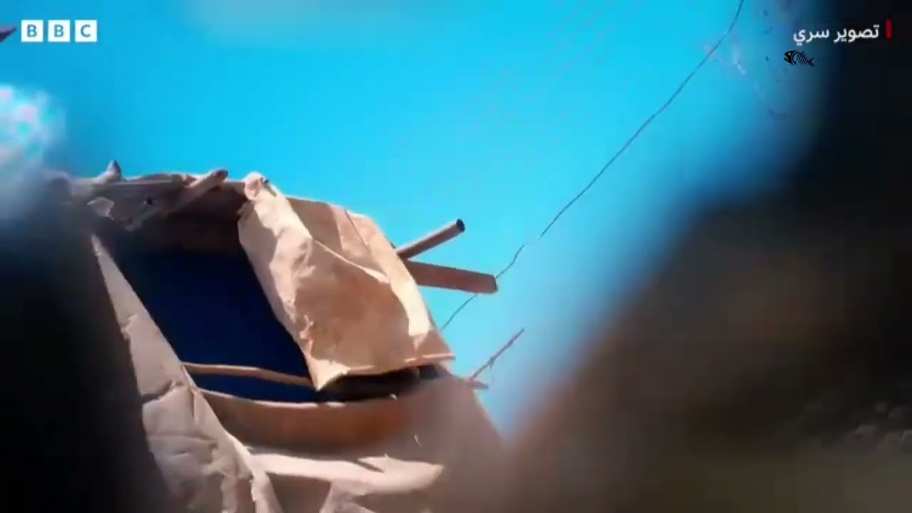 الدجالون.