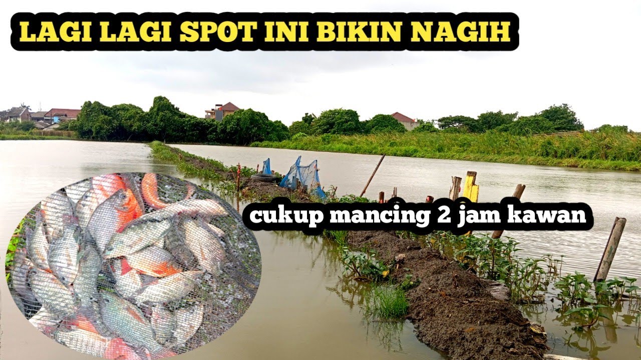 Lagi Lagi Spot Ini Bikin Nagih Cukup Mancing 2 Jam Hasil Nya Mantap Kawan