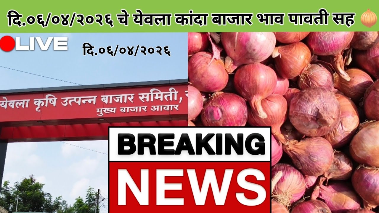 दि.०६/०४/२०२६ चे येवला कांदा बाजार भाव पावती सह 🧅|yeola kanda bajar bhav|#yeolakandabhav #onionrate 