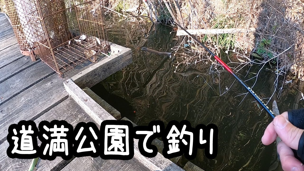 冬でもアタリまくる道満公園【埼玉】