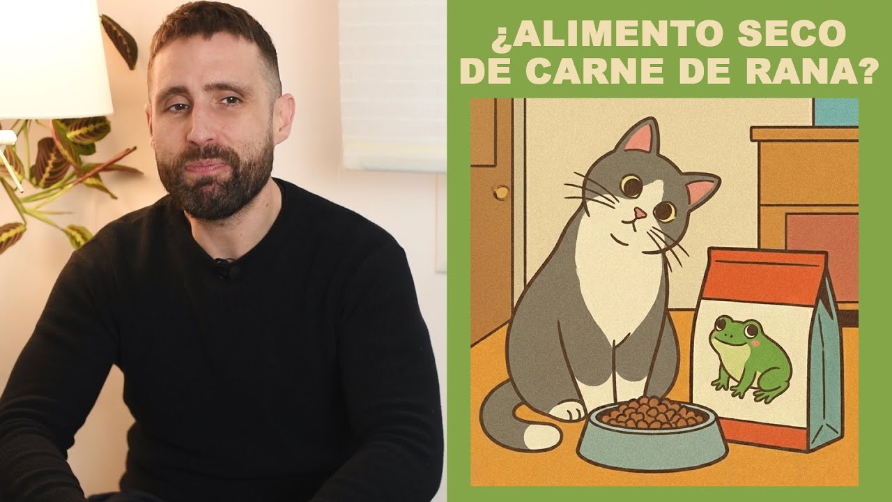 ¿Es buena idea darle a mi gato un alimento seco hecho con carne de rana?
