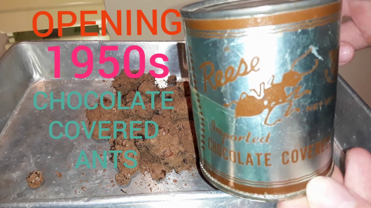 1950s Opening decades-old canned Reese CHOCOLATE COVERED ANTS