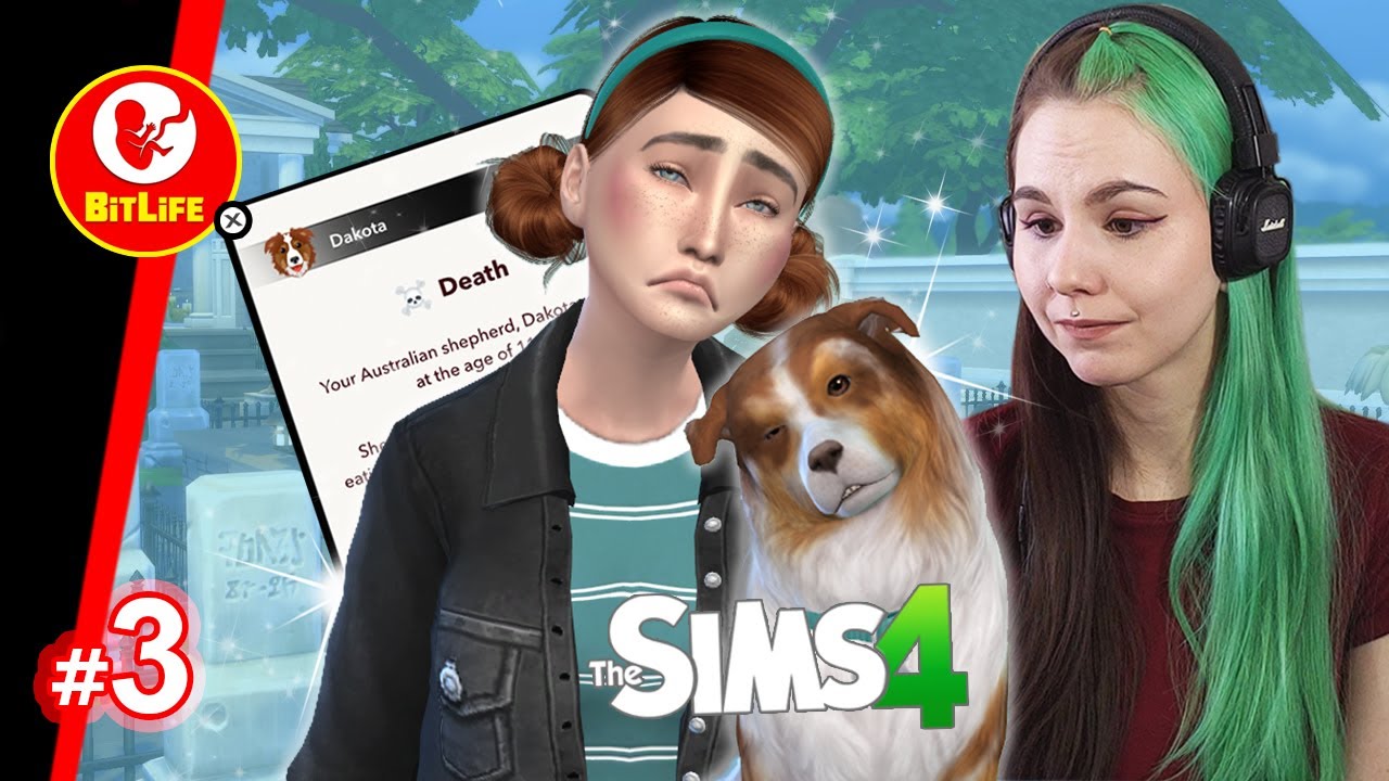 Bitlife Controls My Sims! #3 (Goodbye Dakota! 💀 )