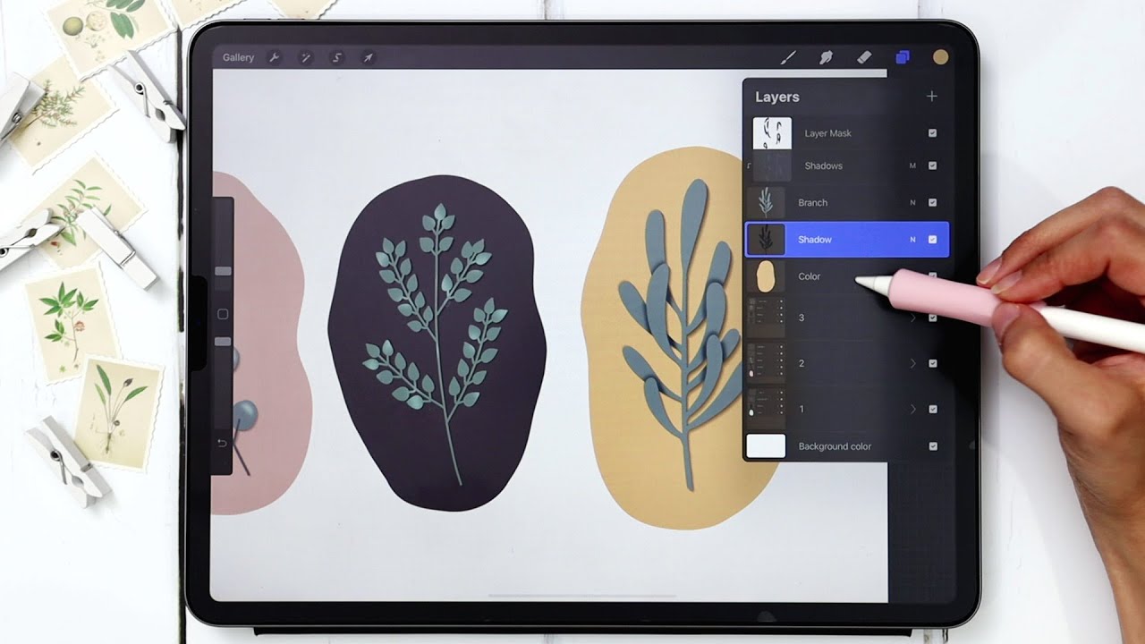 Ветви с листьями, которые каждый может нарисовать в Procreate