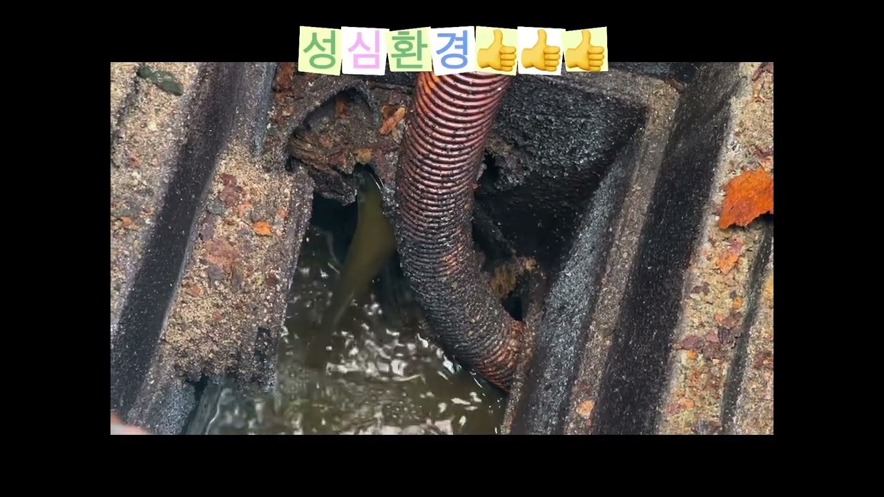 안산 와동 빌라지층  오수관역류 배관속에 꽃이 피었습니다 고압세척 통수 완료 타업체실패현장 전문 성심환경 1855-2929 