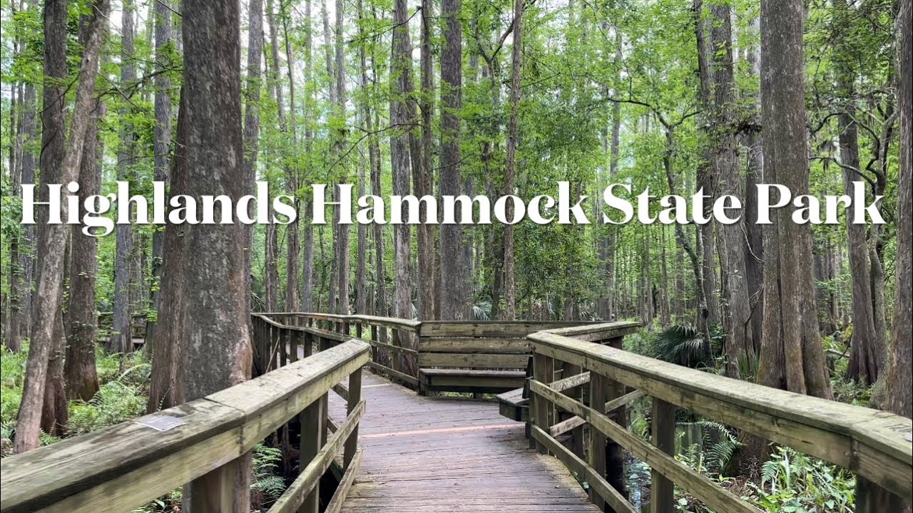 Highlands Hammock State Park: Camping Adventure part II @Carol-Beauty of Nature.