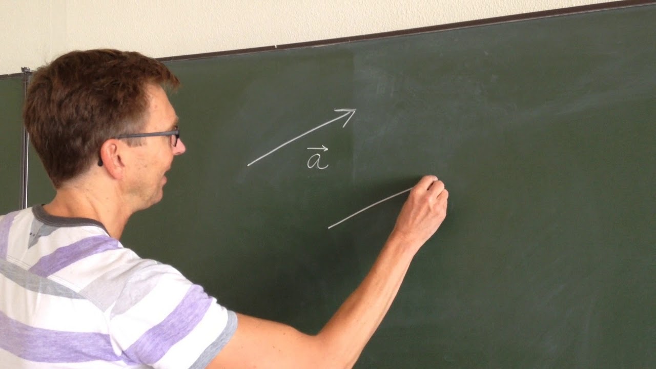 Vectoren: wat is een vector?