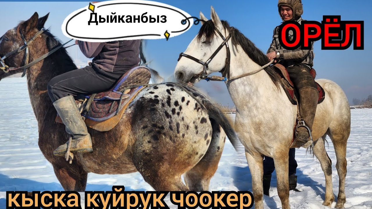 чоокер ОРЁЛ ҮЛГҮДӨ👍28 января 2023 г.