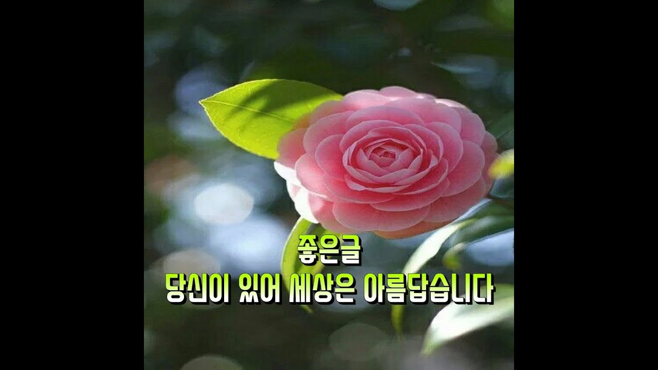 민정채널[좋은글, 좋은시, 당신이 있어 세상은 아름답습니다]