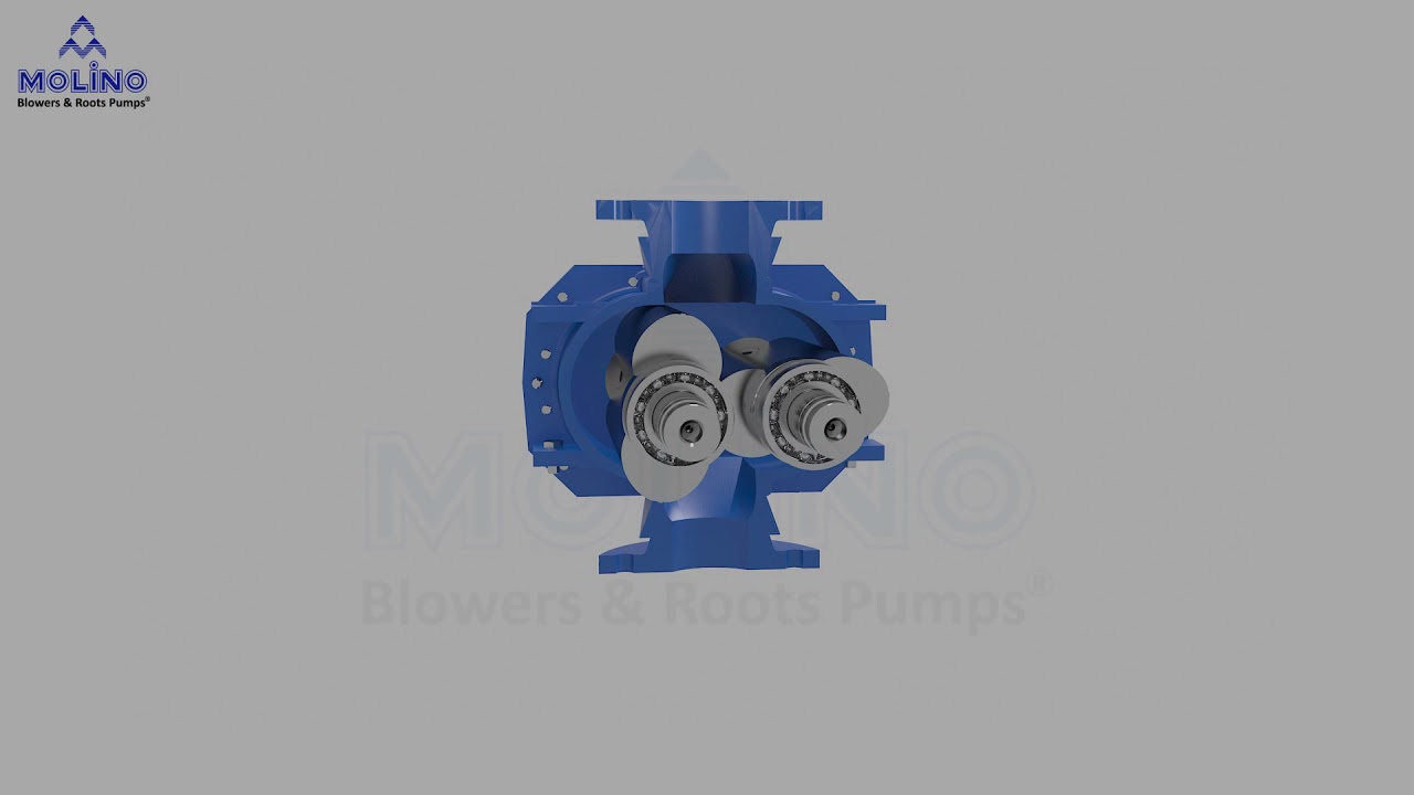 Molino Blower Animation English V.002 - Positive Displacement Pumps