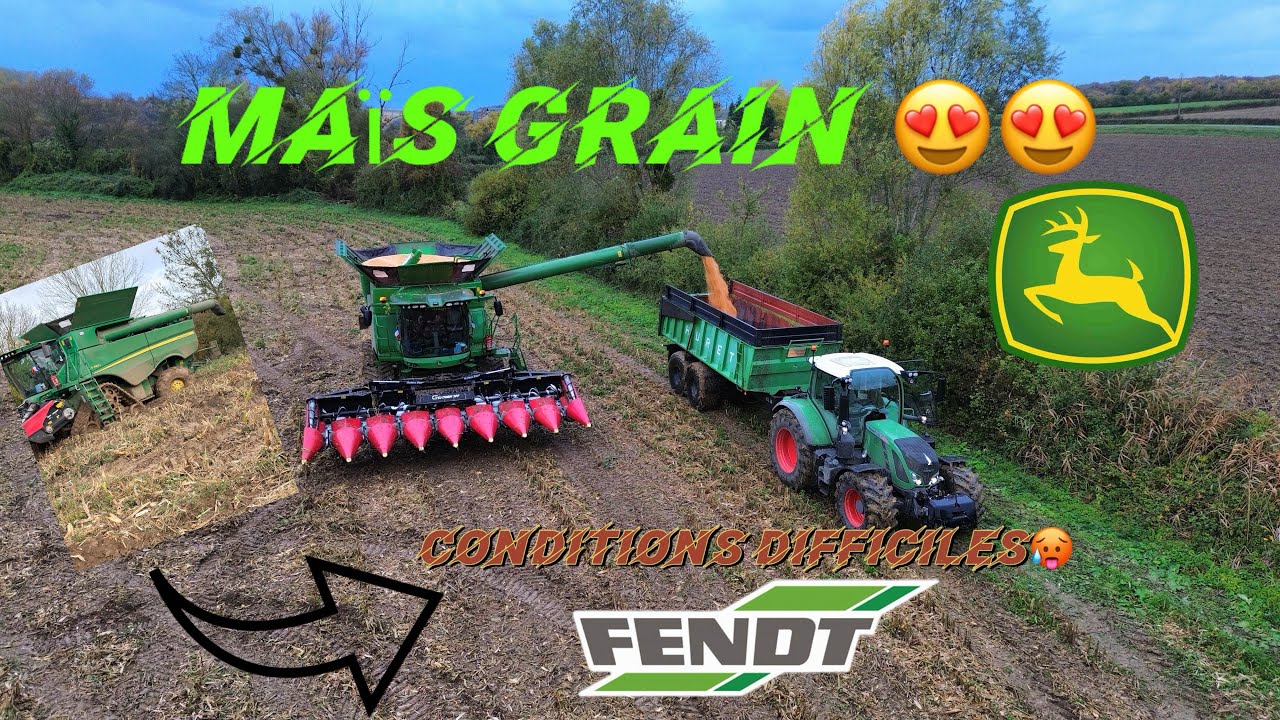 🤠 moisson de maïs grain 🌽// John deere S780I 🟢🟡