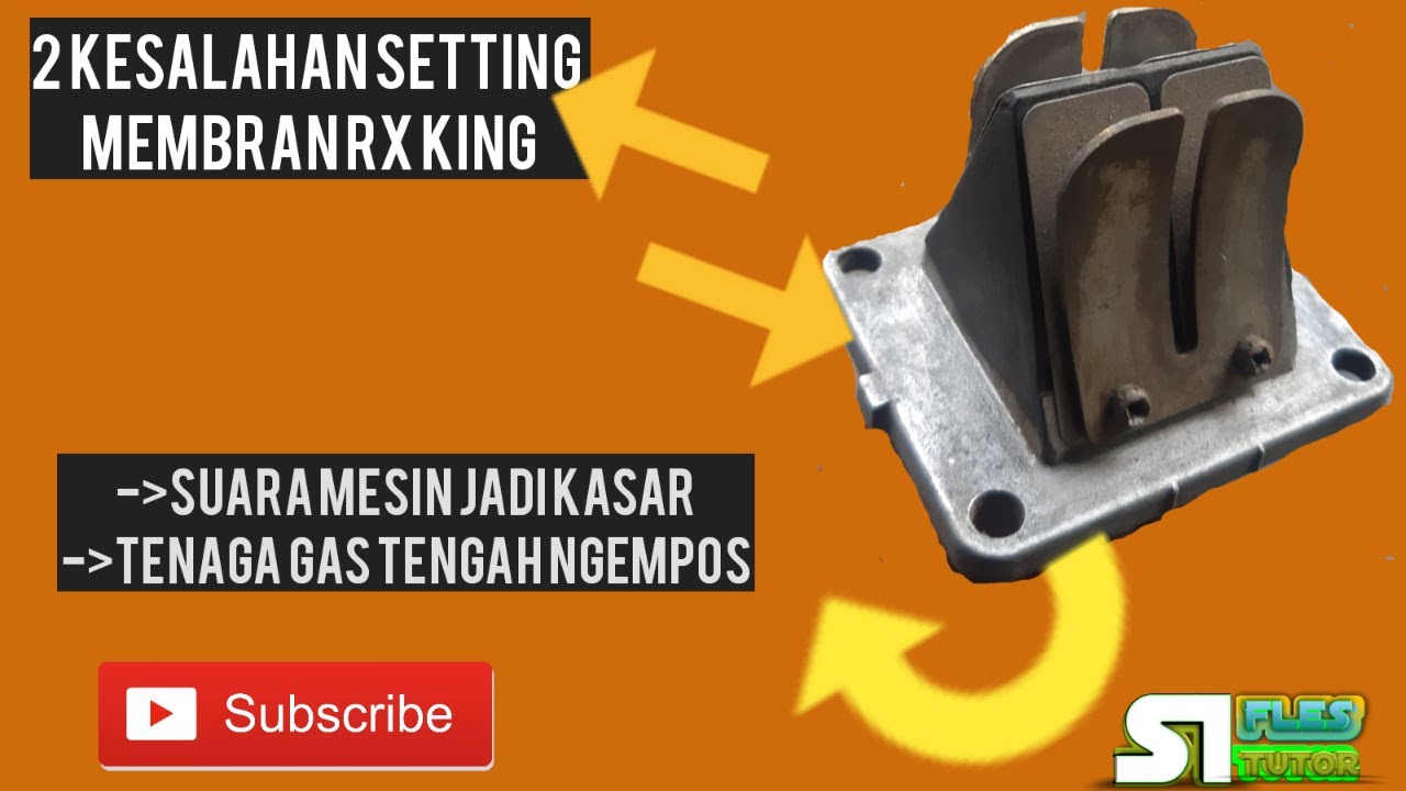 setting membran rx king