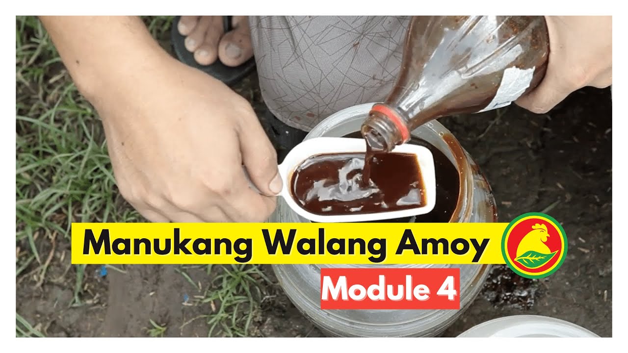 MODULE 4: Manukang Walang Amoy at Iwas Langaw gamit ang Proavian Feeds