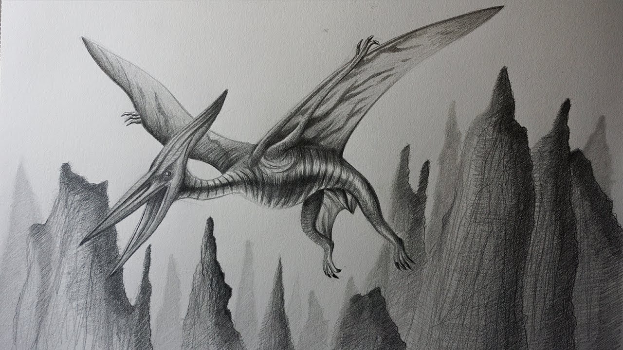 Cómo Dibujar un Pterodáctilo a Lápiz Paso a Paso - Reptil Volador