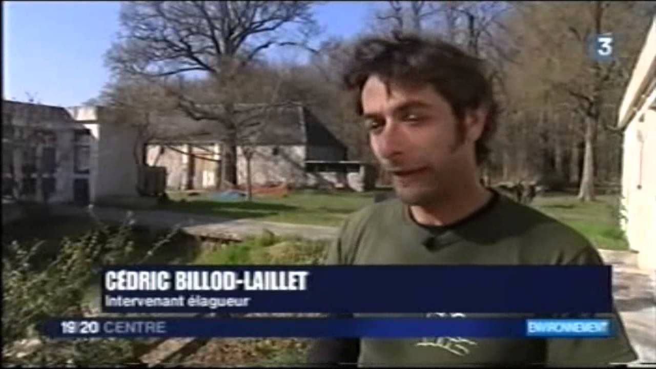 TaillerVgtx CanopeeEnchantee Mars2013 France3 TV
