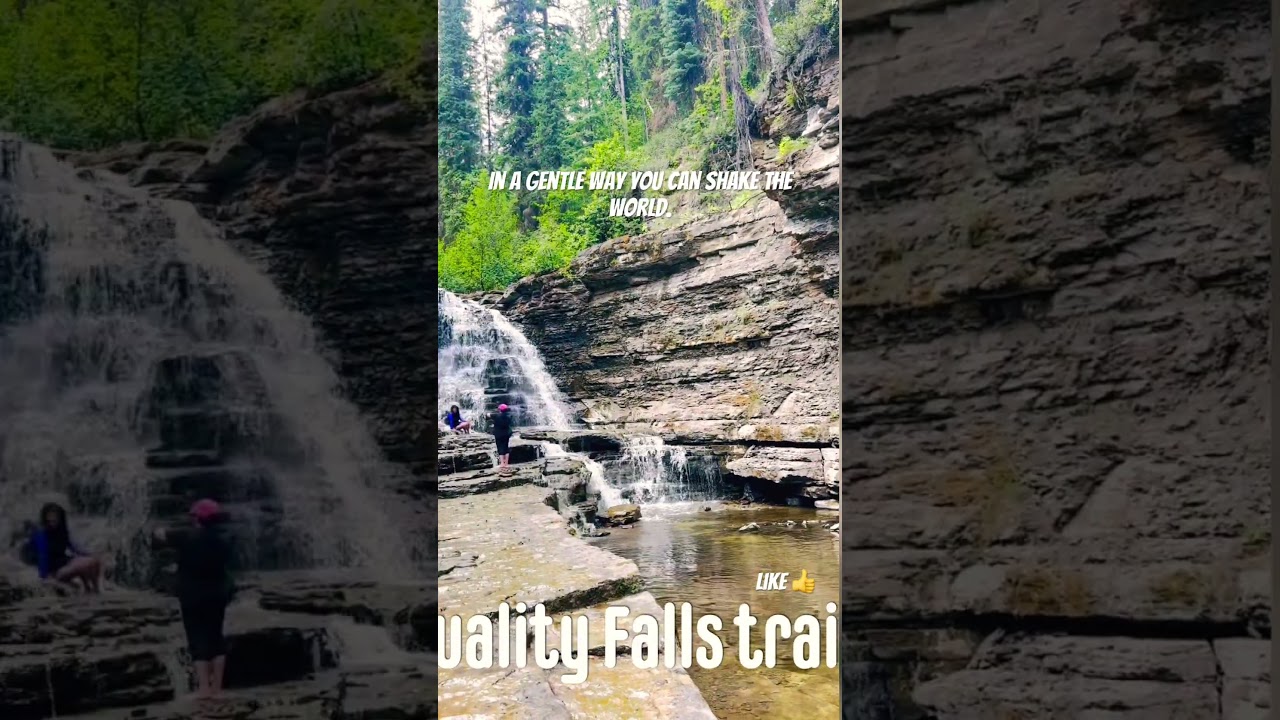 Quality Falls trail #waterfallhiking #trail#naturalforrest #waterfalls#beautifulbritishcolumbia🇨🇦