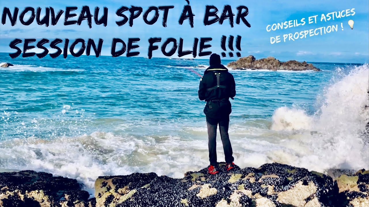 NOUVEAU SPOT à BAR : SESSION de PÊCHE FABULEUSE !!!