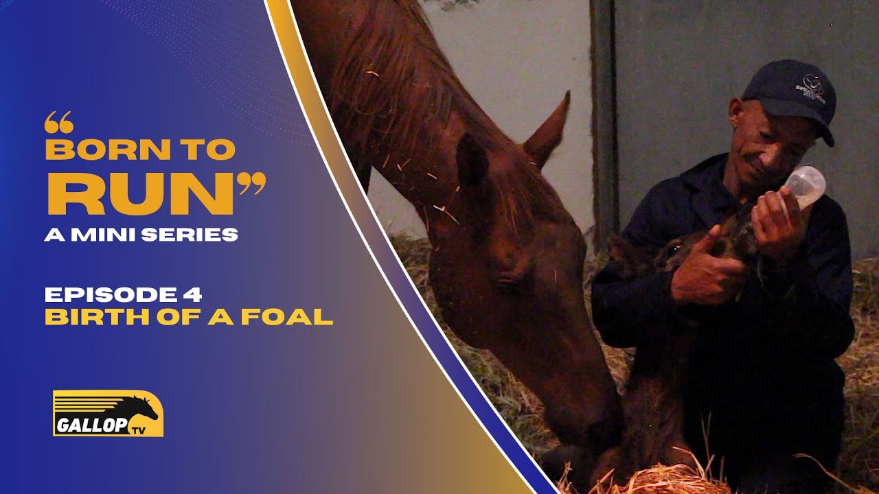 BORN TO RUN:  EPISODE 4 BIRTH OF A FOAL