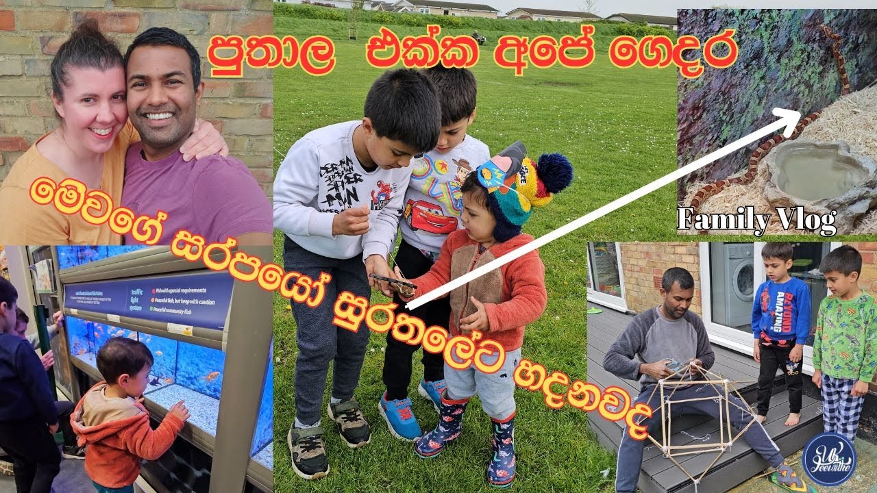 fun එකේ ගත කරපු සති අන්තයක්/ #sinhala #ukjeewithe #family #weekend