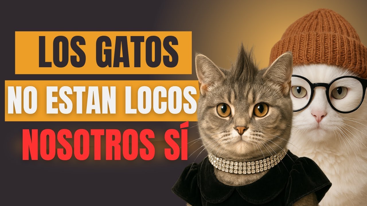 ¡Estamos destruyendo lo que significa ser gato!