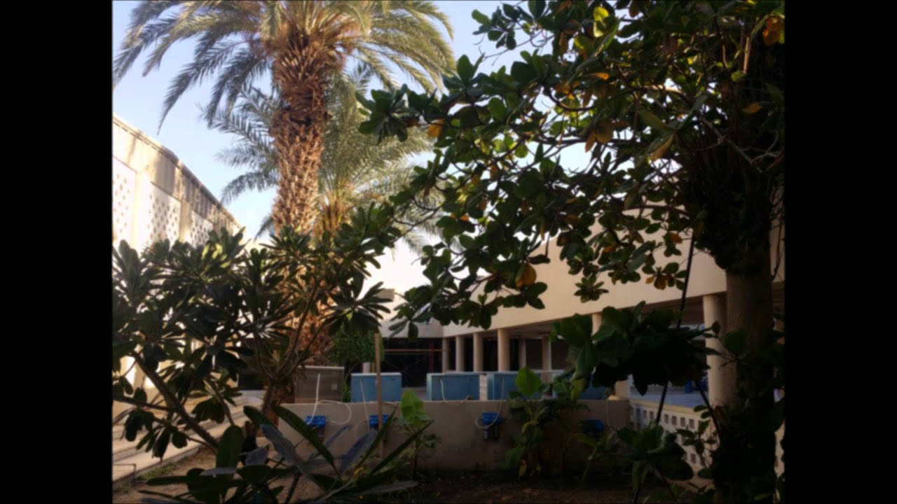 زيارة المدرسة 105/ب بجدة للمتوسطة 82