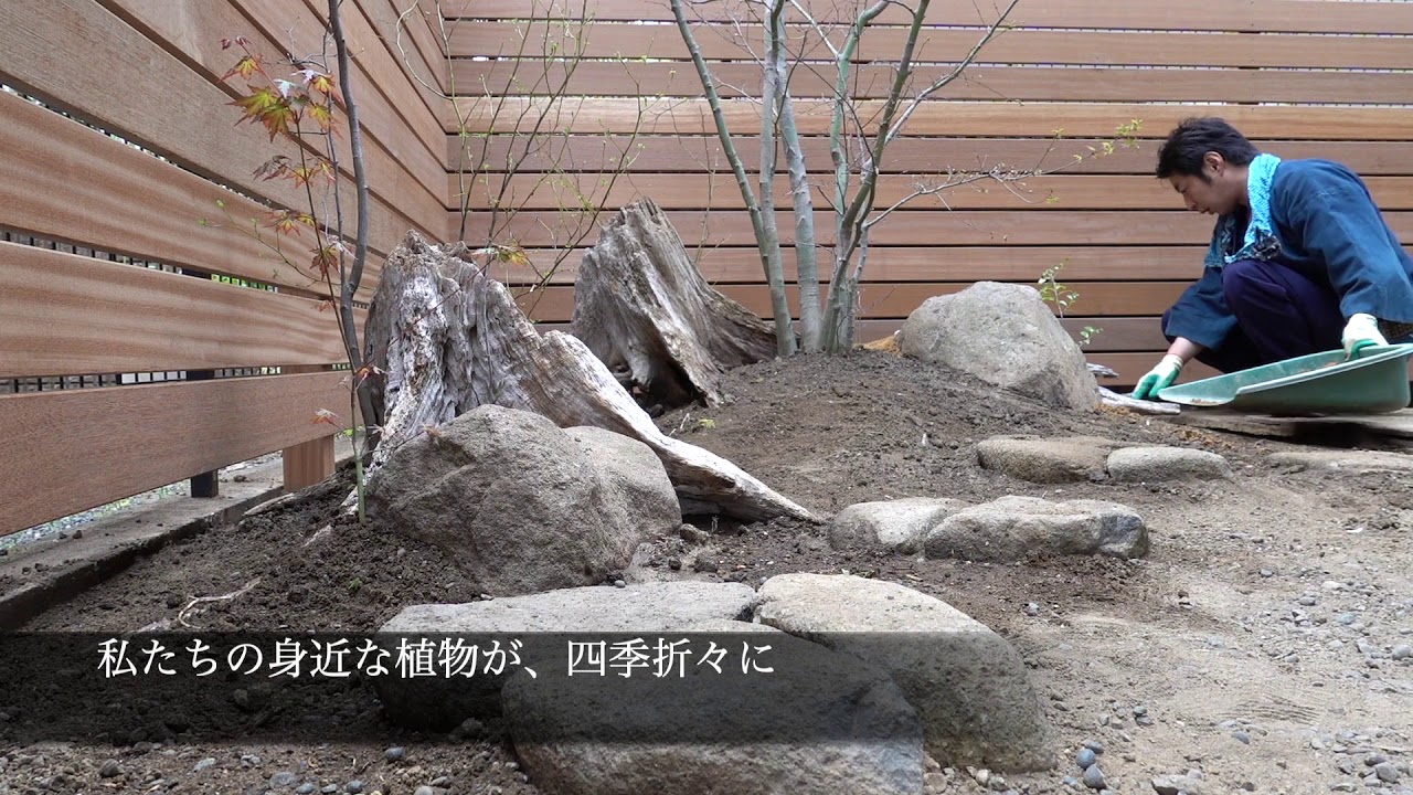 町田市　庭工事の紹介　【モミジの植栽】
