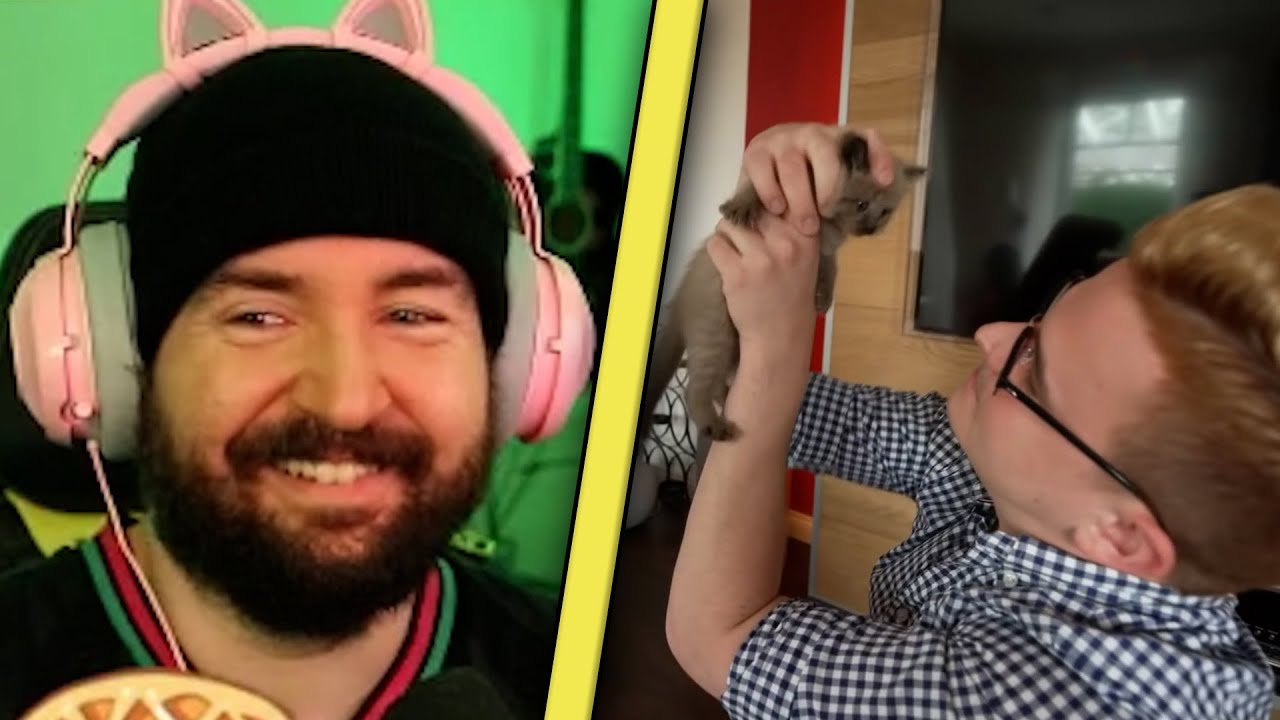 Sturmwaffel REAGIERT auf Tourette als Tierarzt - Wird Jan Katzenpapa? | Gewitter im Kopf