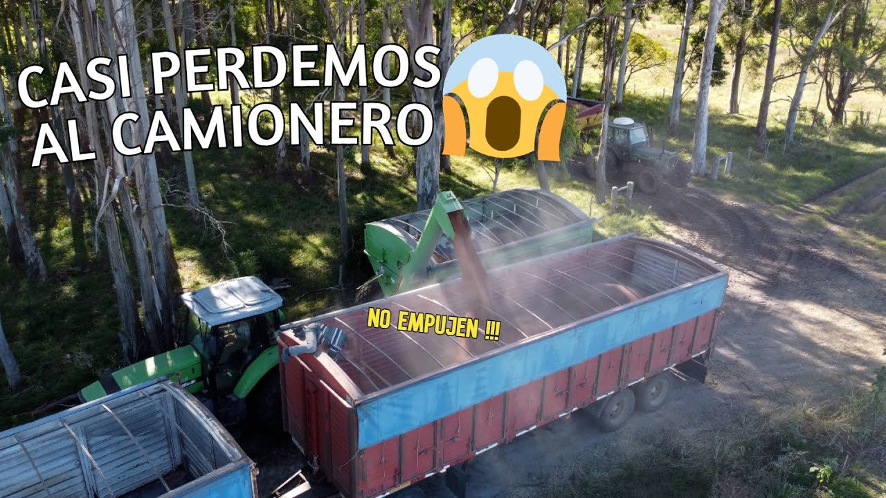 Seguimos avanzando. Cosecha de sorgo parte 3 [Video N°4]