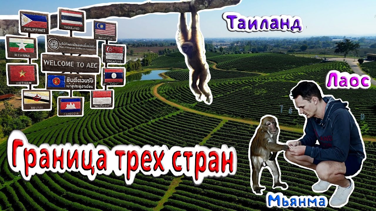4K: Золотой треугольник и чайные плантации Таиланда