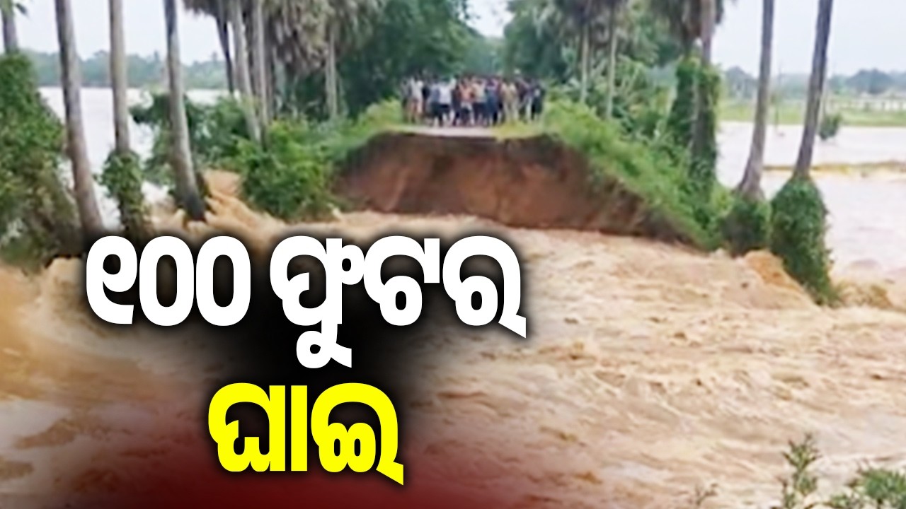 ୧୦୦ ଫୁଟର ଘାଇ | Flood Fury in Jajpur: 100-Foot Breach Worsens Situation in Bari | Kalinga TV