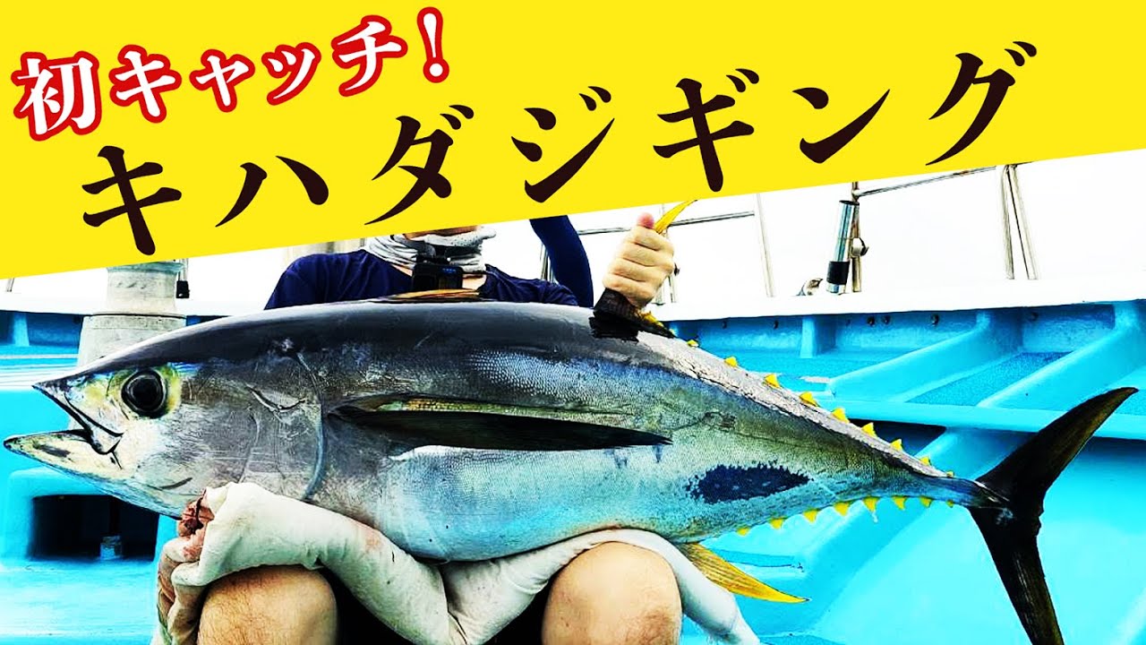 【ジギング】初めてキハダマグロ釣ったから見て！/ First catch of yellowfin tuna in Japan