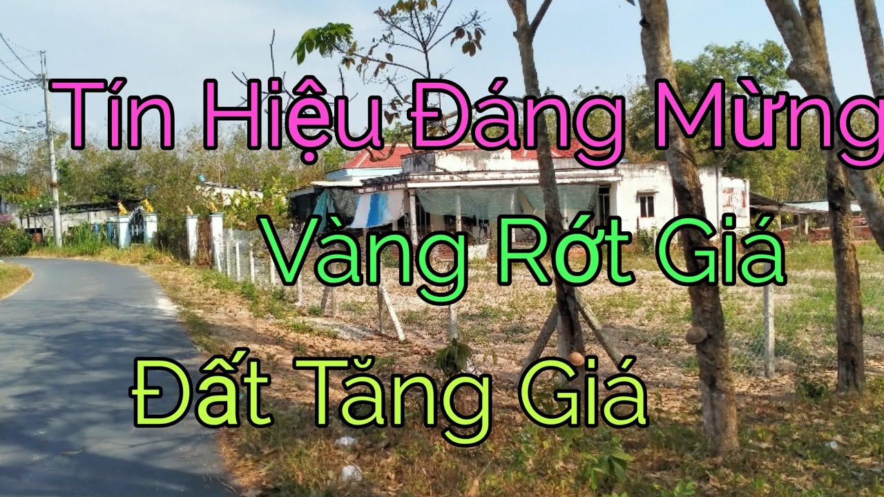 Tin Vui Đến Rồi, Vàng Rớt Đất Tăng