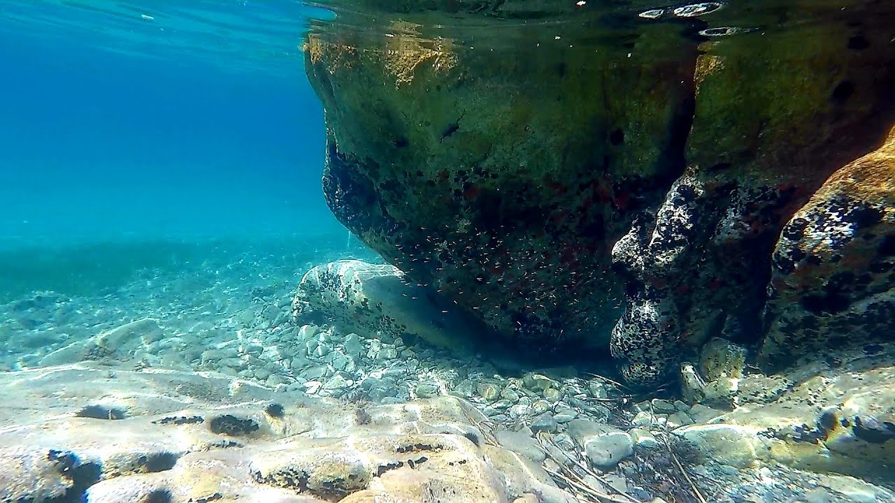 SNORKELING  SITHONIA  UNDERWATER  2019  GOPRO  5   BLACK