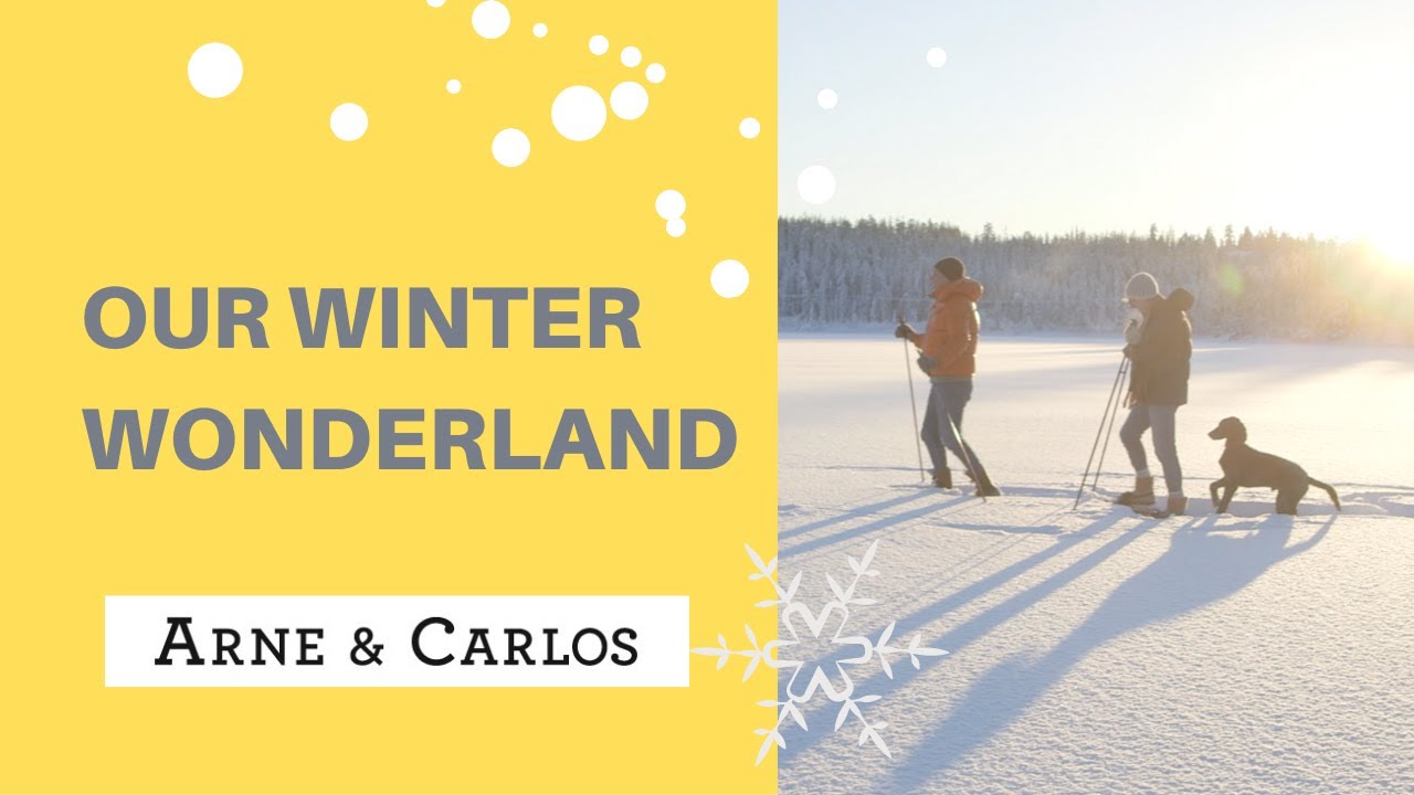 Our Winter Wonderland - Out looking for Moose - So much snow - by ARNE & CARLOS